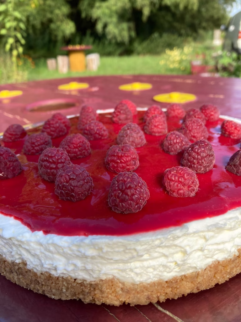 cheese-cake-framboise-vue-le-blazlab